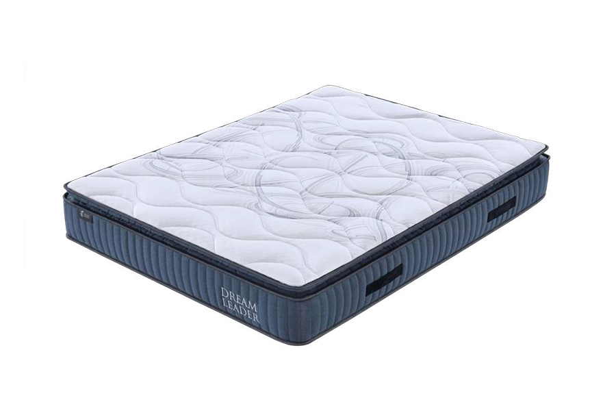 Nệm Mút Hoạt Tính Và Lò Xo Túi DL2503